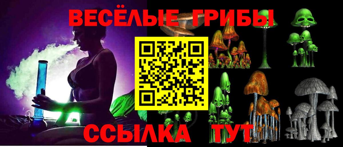 Галлюциногенные грибы GOLDEN TEACHER  Вход с VPN  Псилоцибиновые грибы Magic Shrooms  Джанкой 