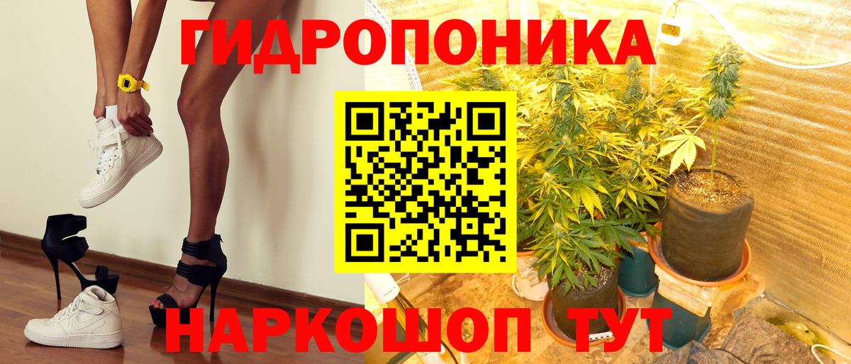 Конопля White Widow  МАРИХУАНА конопля  Шишки марихуана конопля  МАРИХУАНА MAZAR  Вход с VPN  Джанкой 